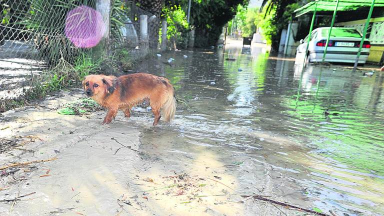 Inundaciones y mucho barro tras una “noche de perros” Inundaciones y mucho barro tras una “noche de perros”