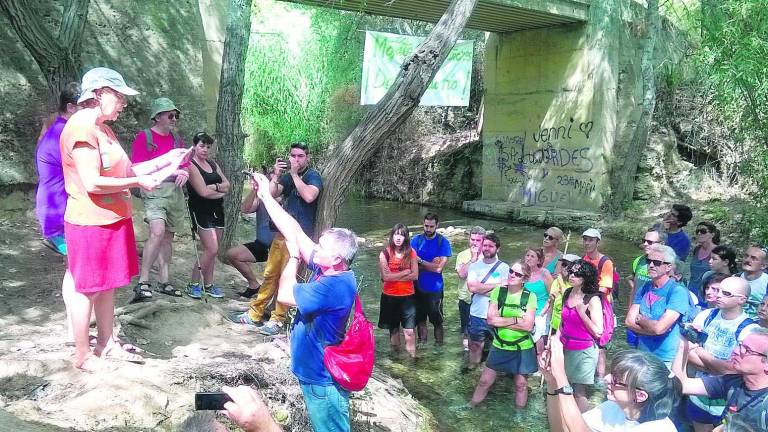 Clamor por Los Cañones Clamor por Los Cañones