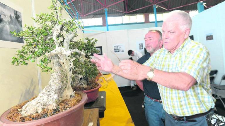 Baeza quiere ser la capital del negocio del aceite