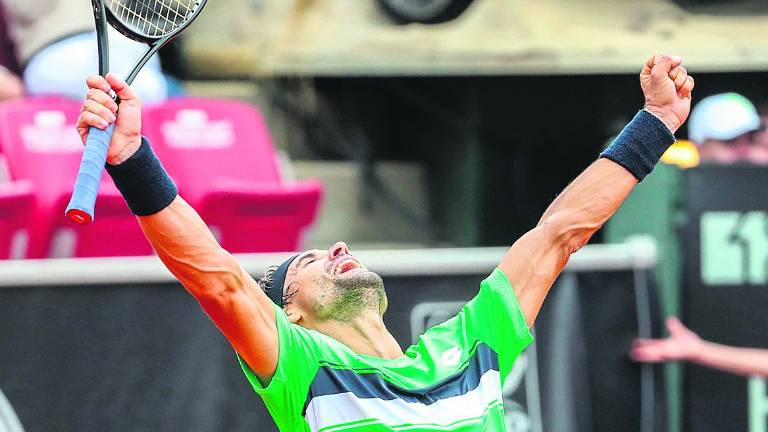 David Ferrer se impone en la final de Bastad David Ferrer se impone en la final de Bastad