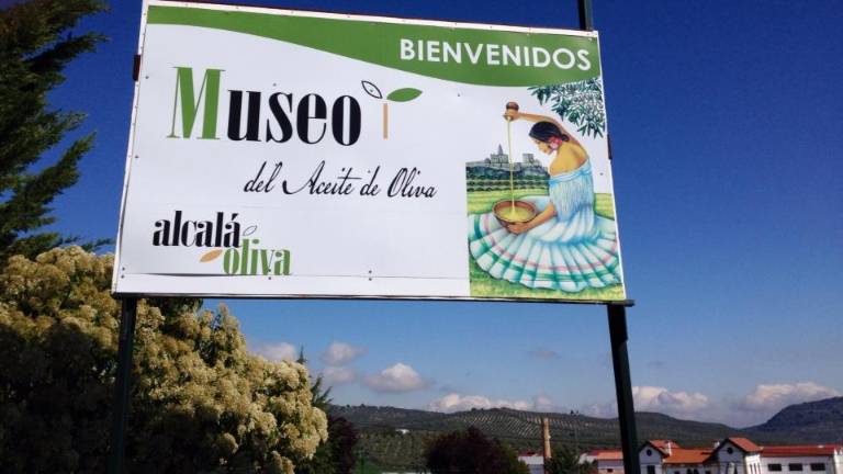 Museo vivo del olivar Museo vivo del olivar