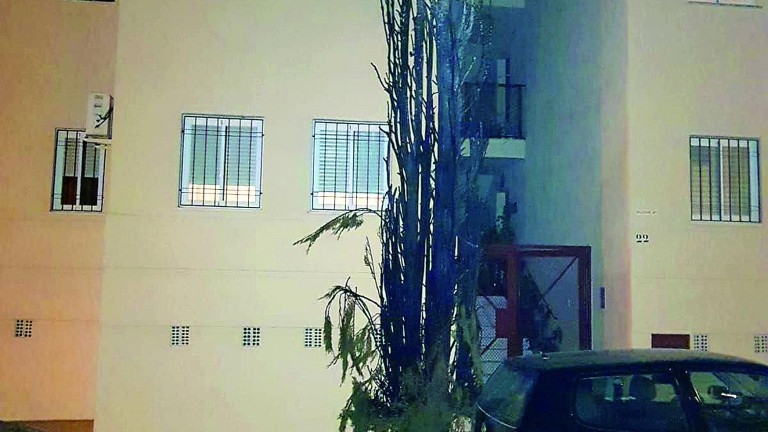 Preocupación en Alcalá tras arder un árbol junto a pisos