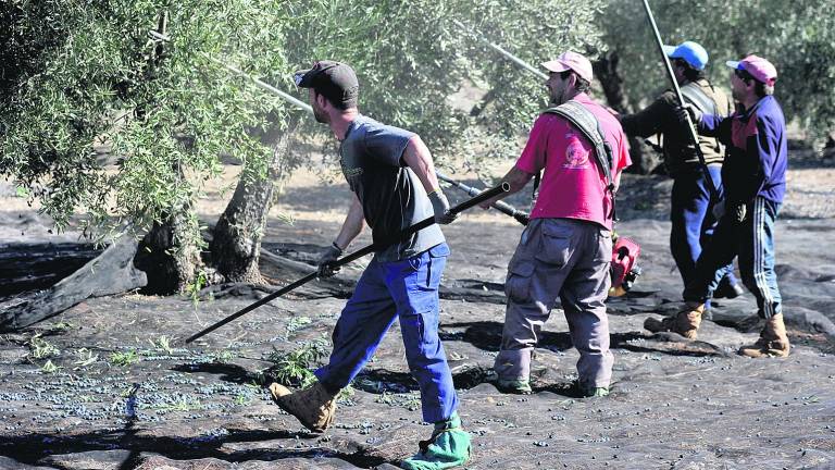 Hoy es el día del trabajo para Jaén