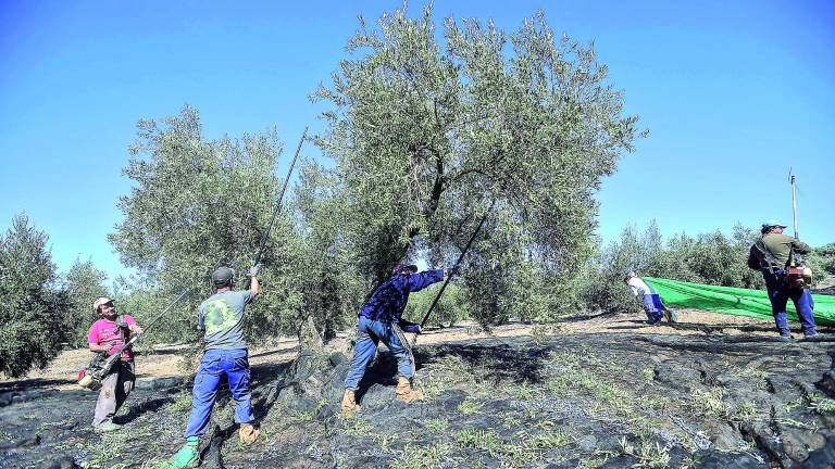 Jaén pierde 1.800 puestos de trabajo durante el último año Jaén pierde 1.800 puestos de trabajo durante el último año