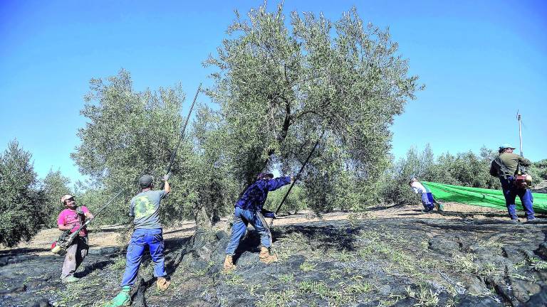 Jaén pierde 1.800 puestos de trabajo durante el último año