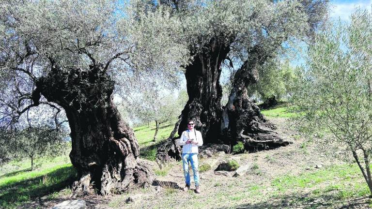En busca de verdes rarezas En busca de verdes rarezas
