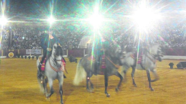 Un espectáculo de lujo y caballos
