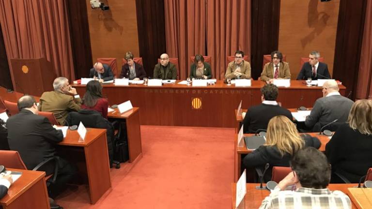 El Parlament recurrirá el 155 ante el Tribunal Constitucional El Parlament recurrirá el 155 ante el Tribunal Constitucional