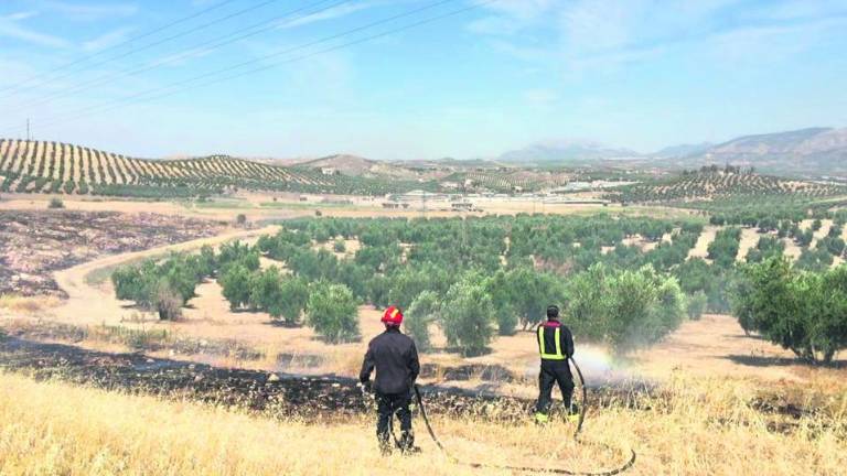 Nuevo conato en la maleza de un descampado próximo a la capital Nuevo conato en la maleza de un descampado próximo a la capital