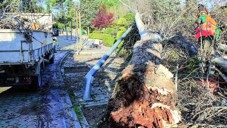 Un vendaval “embiste” la ciudad Un vendaval “embiste” la ciudad