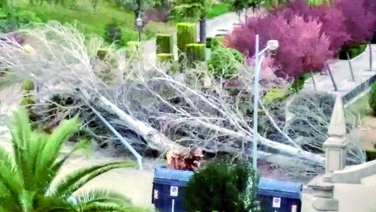 Un vendaval “embiste” la ciudad Un vendaval “embiste” la ciudad
