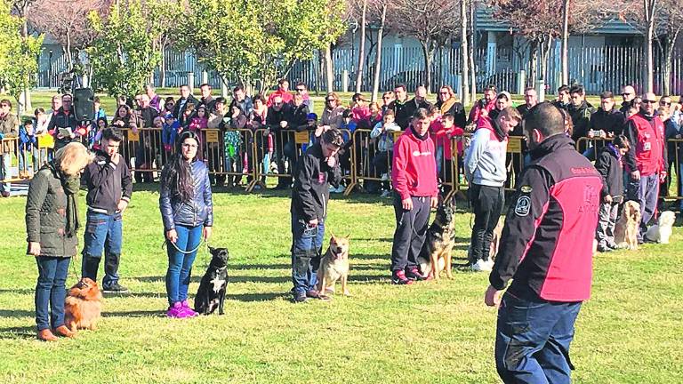 Las Fuerzas de Seguridad exhiben su “poderío canino” Las Fuerzas de Seguridad exhiben su “poderío canino”