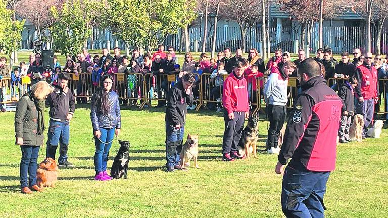 Las Fuerzas de Seguridad exhiben su “poderío canino”