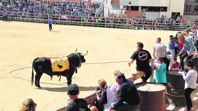 Arroyo del Ojanco albergará el congreso del “Toro de Cuerda” Arroyo del Ojanco albergará el congreso del “Toro de Cuerda”