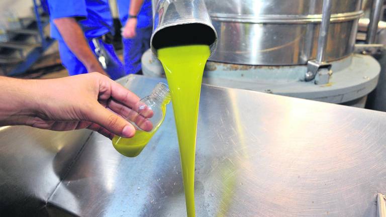 El precio del aceite continúa en auge El precio del aceite continúa en auge