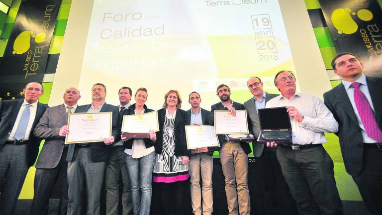 Jaén pone en el mercado más de 300 marcas de aceite virgen extra Jaén pone en el mercado más de 300 marcas de aceite virgen extra