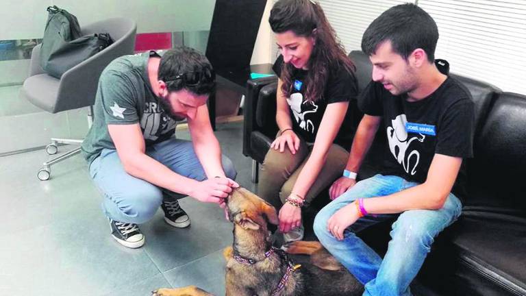 Dani Rovira pide ayuda en “El Hormiguero” para Lucía Dani Rovira pide ayuda en “El Hormiguero” para Lucía