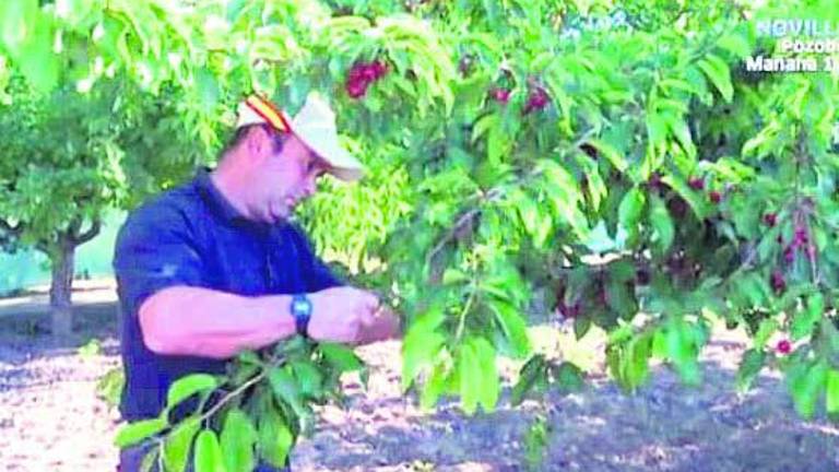 “Homenaje” a un cultivador de cerezas de Castillo de Locubín