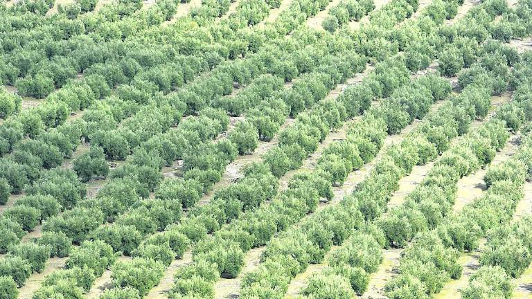 “Campechanos” conoce a un agricultor ecológico de Jaén “Campechanos” conoce a un agricultor ecológico de Jaén