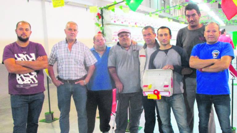 Unas 580 aves en un concurso ornitológico Unas 580 aves en un concurso ornitológico