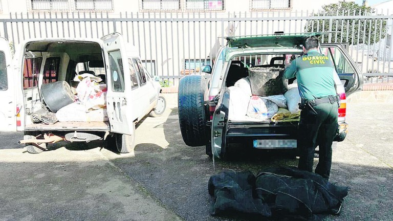 Cinco detenidos por robar aceituna en Baños