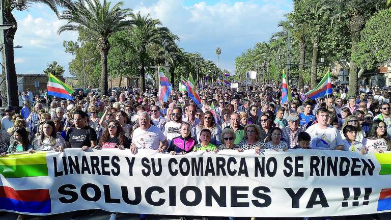 La plataforma valora la última movilización La plataforma valora la última movilización