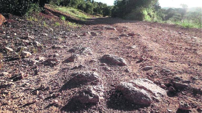 Quejas por el mal estado de un camino agrícola