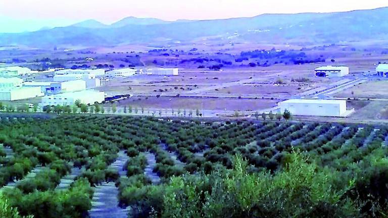 Nueva venta de parcelas en el Llano de Mazuelos Nueva venta de parcelas en el Llano de Mazuelos