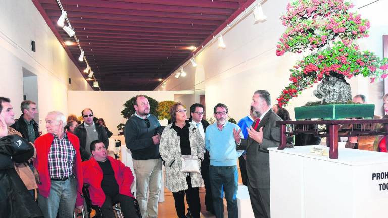 Japón y Jaén unidas por la Muestra de Bonsái FKB