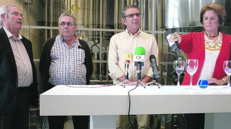 San Amador moltura su primer aceite de la campaña San Amador moltura su primer aceite de la campaña