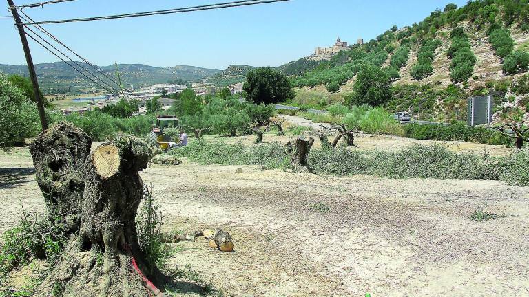 Obras de las dos nuevas glorietas de El Portichuelo