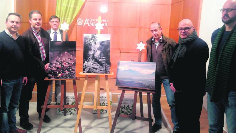 Reconocimientos a fotografías del olivar Reconocimientos a fotografías del olivar