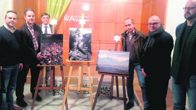 Reconocimientos a fotografías del olivar