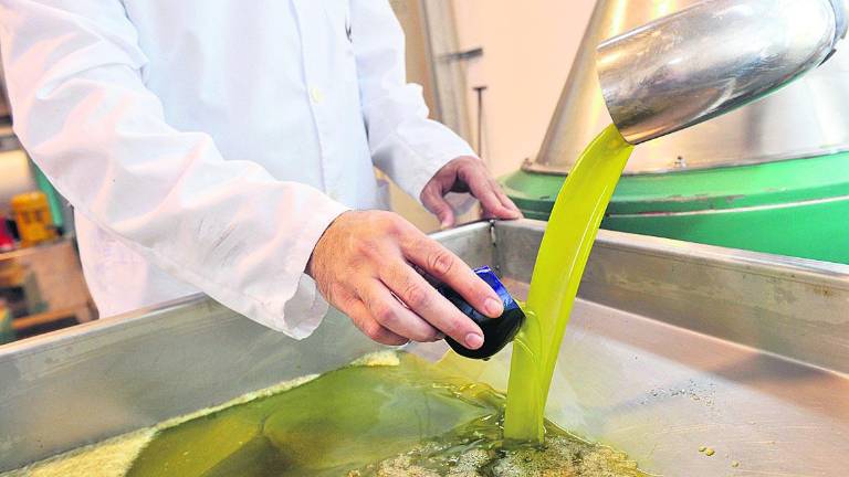 Hay aceite que vale menos de dos euros en las almazaras Hay aceite que vale menos de dos euros en las almazaras
