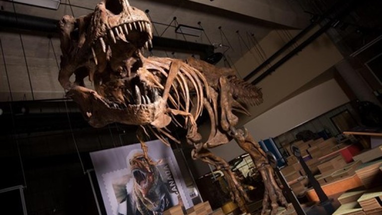 Casi 9 toneladas de Tyrannosaurus rex