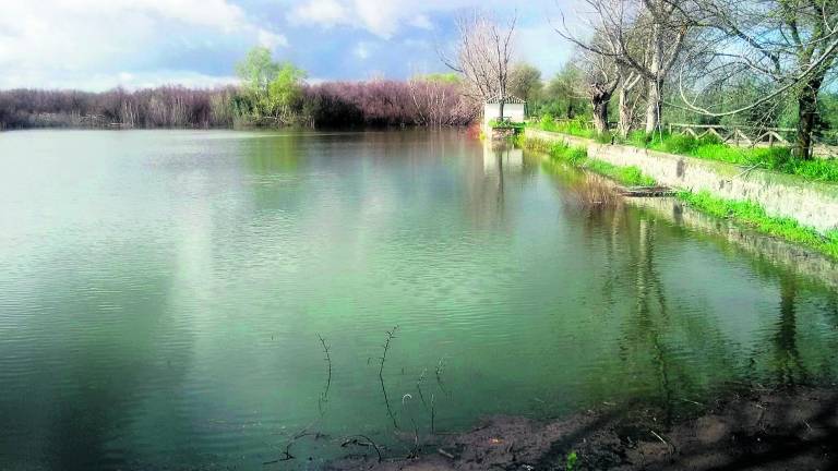 La Laguna de Baeza “vuelve a la vida” gracias a las lluvias