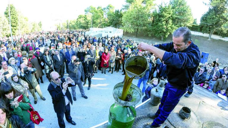 Los aceituneros están ya de fiesta