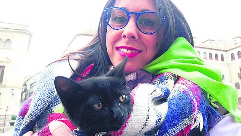 Perros en busca de un hogar Perros en busca de un hogar