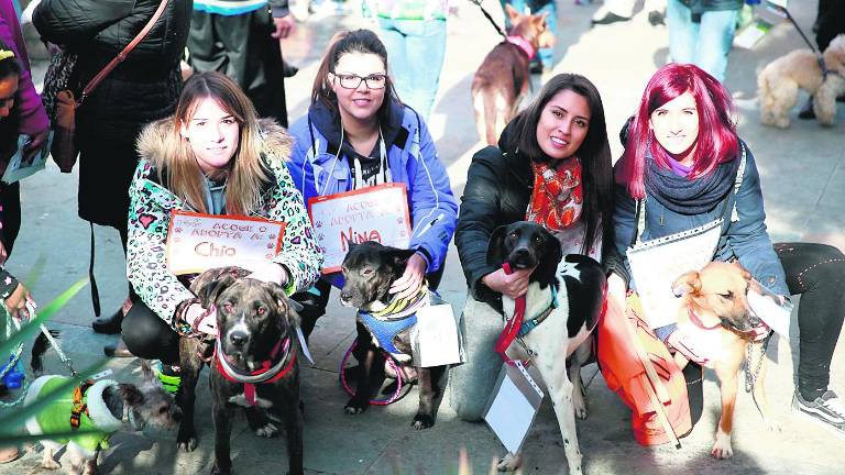 Unos quinientos perros toman el “testigo” de los corredores