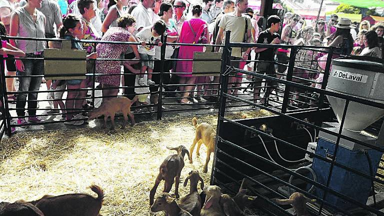 VIII edición de la Fiesta de la cabra malagueña VIII edición de la Fiesta de la cabra malagueña