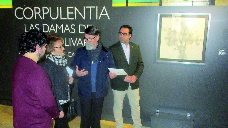 Un árbol icónico de Jaén convertido en puro arte Un árbol icónico de Jaén convertido en puro arte