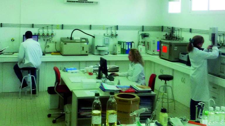 Sovena logra resucitar el gran coloso del aceite Sovena logra resucitar el gran coloso del aceite