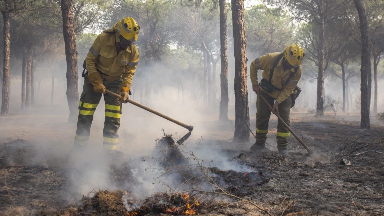 El Infoca da por controlado el incendio de Doñana