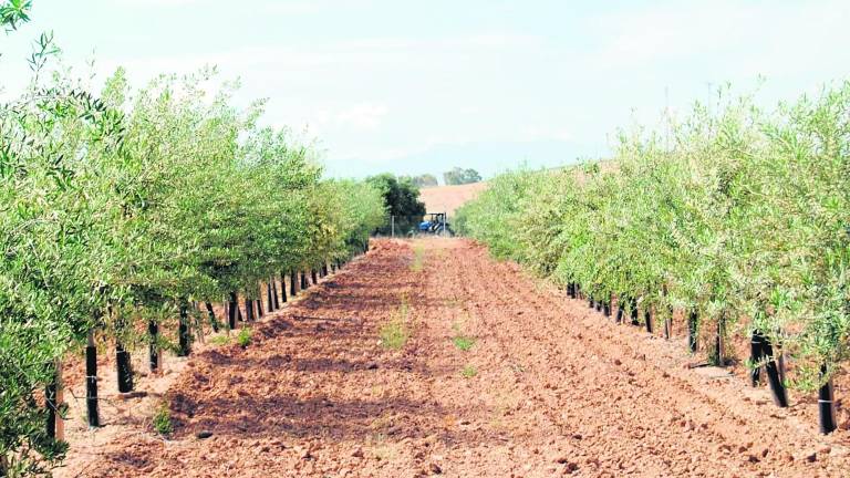 En busca de verdes rarezas