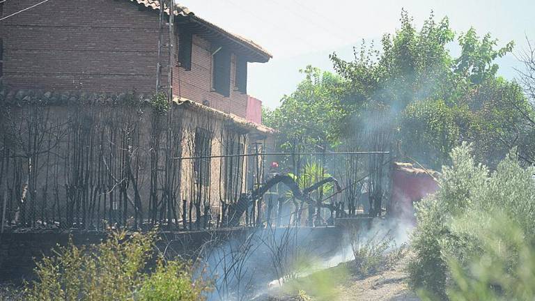 Un “incendio intencionado” devora el pinar del paraje del Portichuelo