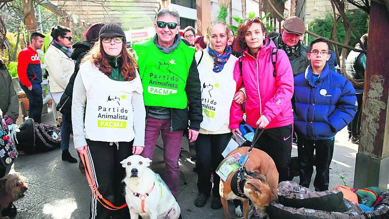 Unos quinientos perros toman el “testigo” de los corredores