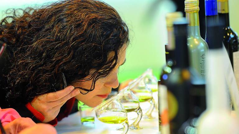 La “gran mentira” de la caída del precio del aceite La “gran mentira” de la caída del precio del aceite