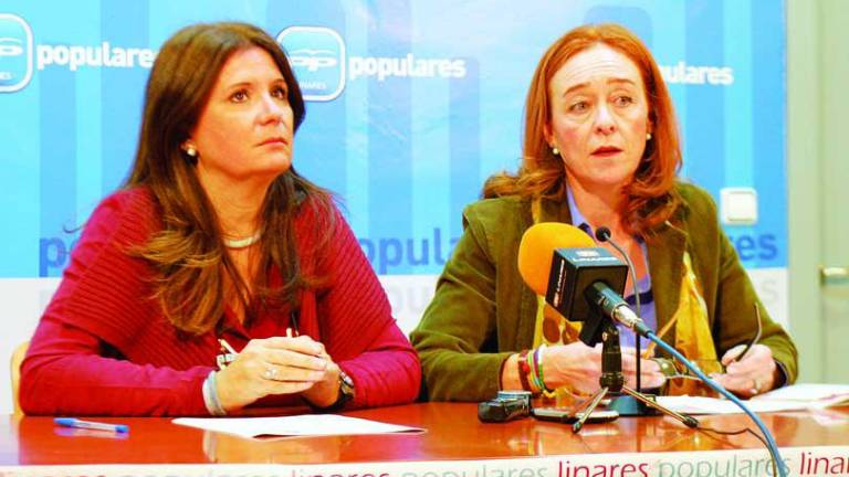 El PP plantea realizar un control de gatos callejeros El PP plantea realizar un control de gatos callejeros