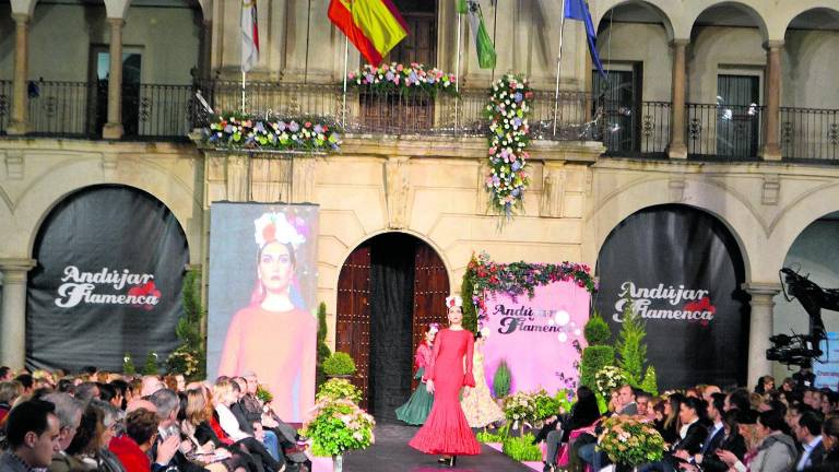 Flamenco contra viento y marea