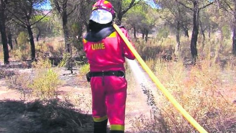 El fuego de Moguer arrasó 8.486 hectáreas de arbolado y matorral